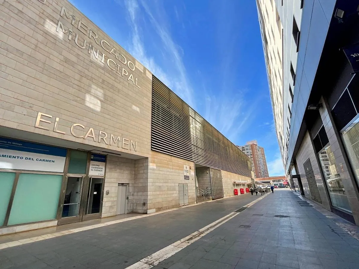 Apartment Picu Home Malaga